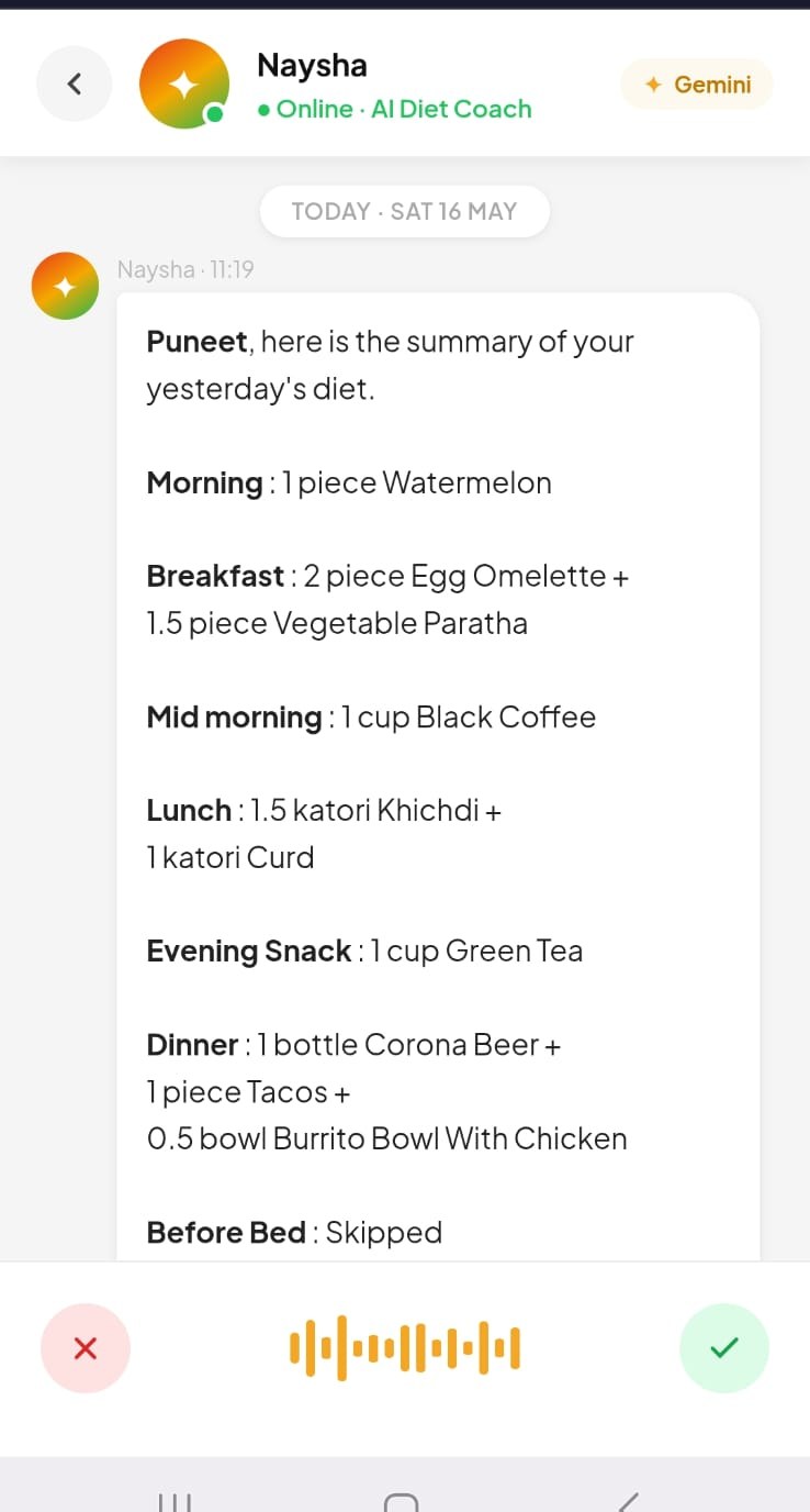 Naysha chat — yesterday's full diet summary with a live voice note input at the bottom